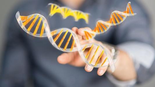 苏州DNA鉴定确认血缘,20年未见的亲生父母团聚令人动容
