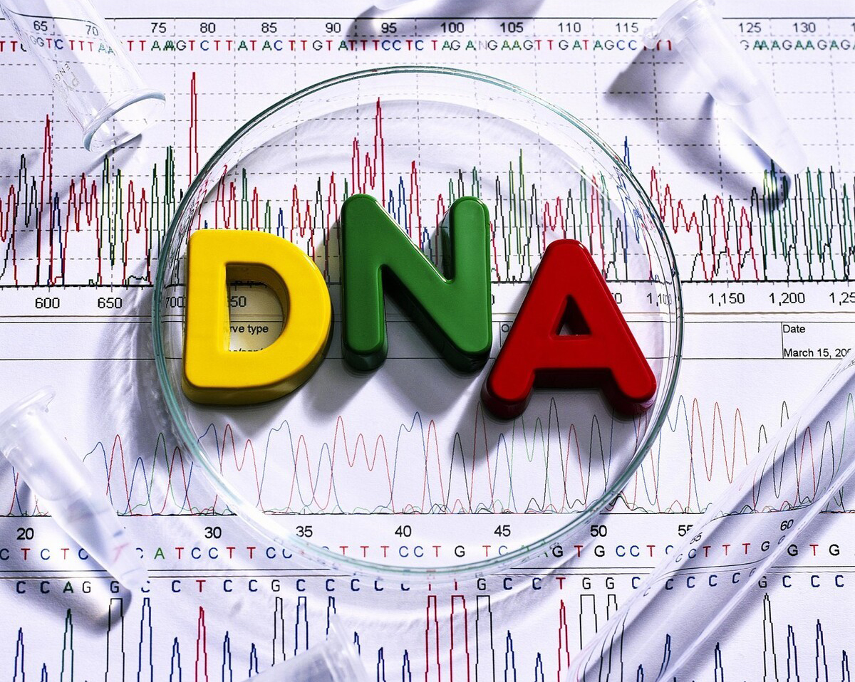 亲子鉴定误区澄清:苏州家长必读的科学指南