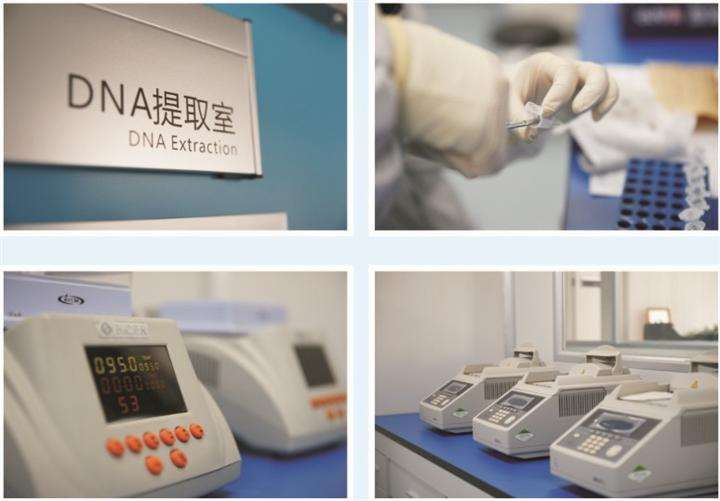 亲子鉴定误区澄清:苏州家长必读的科学指南