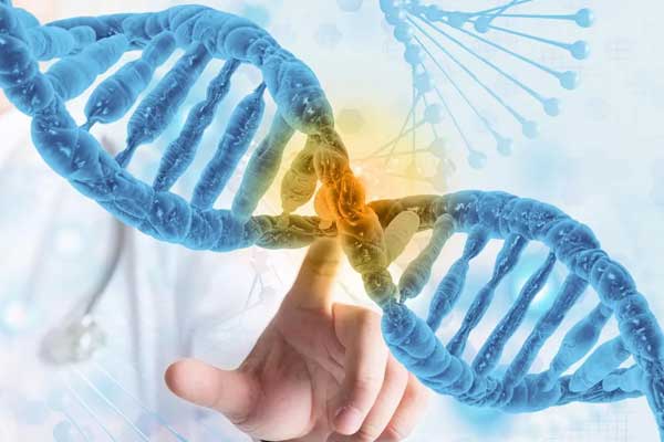未出生孩子能做亲子鉴定吗?苏州隔代血缘检测全指南